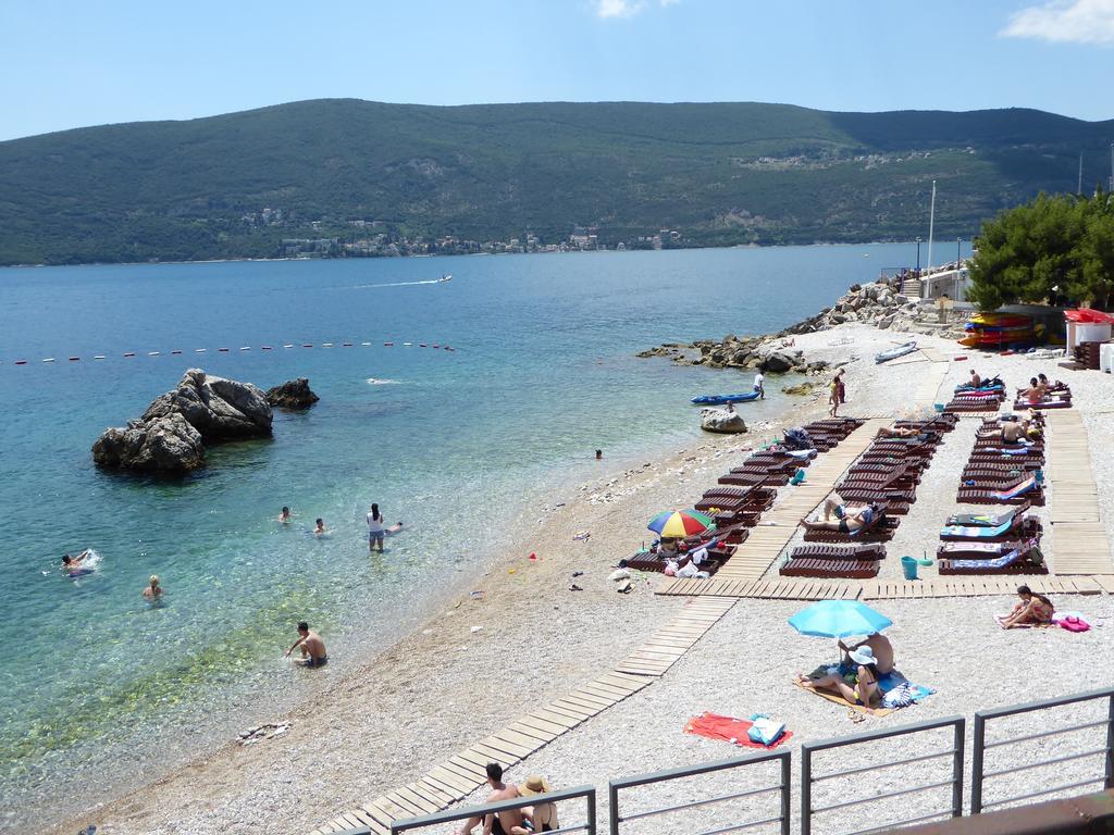 Cindy Herceg Novi